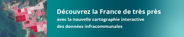 Cartographie interactive des données infracommunales